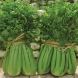 Kako sačuvati list celera za zimu